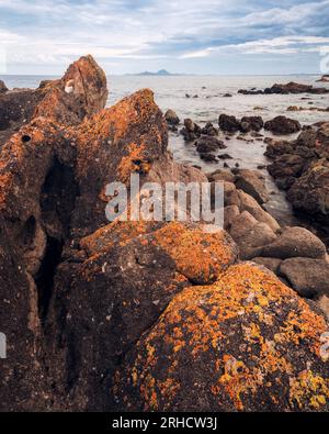 orange lichen on rocks broughton island in nsw Stock Photo