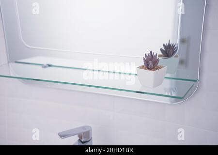 bathroom mirror, small cactus on the top Stock Photo