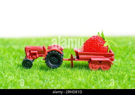 Small toy tractor with a fresh ripe strawberry parked on a lush green meadow. Creative farming and harvest season related concept. Stock Photo