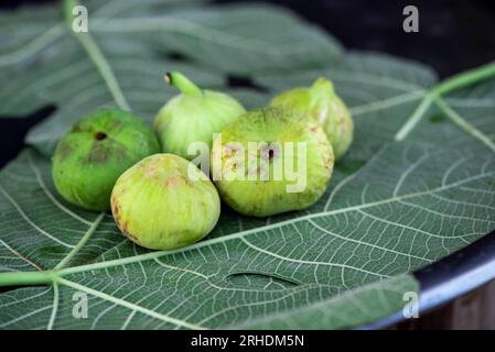 Organic green delicious fig fruits on a large green leaf on a metal tray, close up, outdoor photography Stock Photo