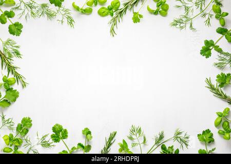 Various fresh herbs arranged in a frame. Cooking concept with spices garden herbs. Healthy food.Top view. Stock Photo