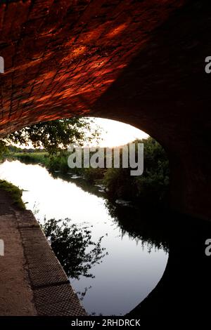 Hyde Lane Bridge, Bridgewater & Taunton Canal, Bathpool near Creech St Michael, Taunton, Somerset, England, United Kingdom Stock Photo