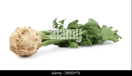Fresh raw celery root with stalks isolated on white Stock Photo