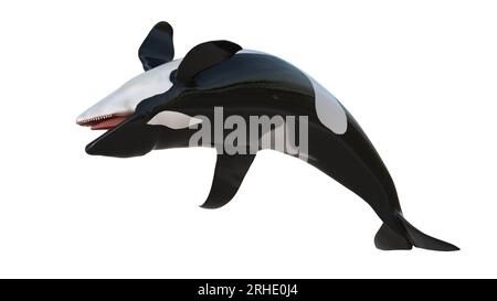 3d rendering of isolated orca whale on a white background. illustration ...