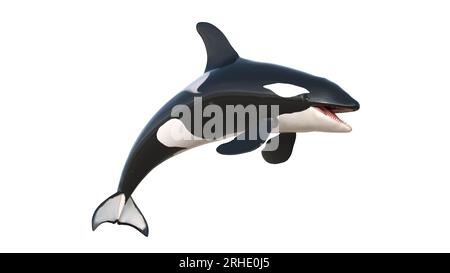 3d rendering of isolated orca whale on a white background. illustration ...