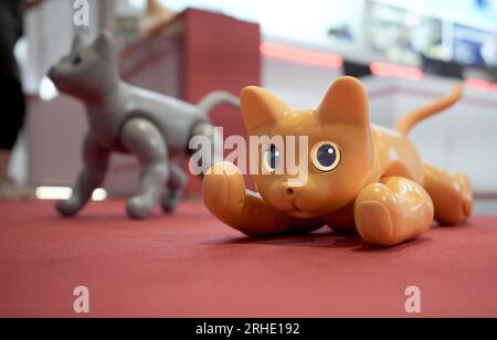 Robot cat hi-res stock photography and images - Alamy