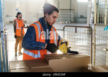 Side view of young male worker of warehouse in reflective vest sealing large cardboard boxes on cart with cellotape while bending over stack Stock Photo