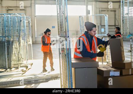 Young male worker of warehouse sealing one of many cardboard boxes containing metallic spare parts with cellotape against his colleagues Stock Photo