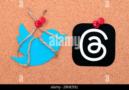 Threads mobile app icon and Twitter round icon pinned on cork tree ...