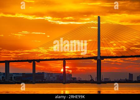 The Queen Elizabeth II bridge Known as the Dartford bridge across the thames at sunset Stock Photo