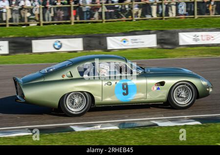 1961 Aston Martin Project 212 classic, vintage race car, racing in the RAC Tourist Trophy at the Goodwood Revival 2011, UK. Prototype Aston Martin Stock Photo