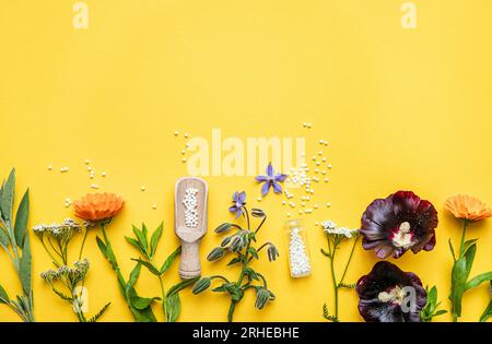 Flat lay view homeopathic medicine pills in jars and spilled around on yellow background, decorated with fresh various herbs and plants, flowers. Stock Photo