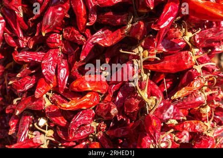 A close up of dried Hungarian wax peppers Stock Photo