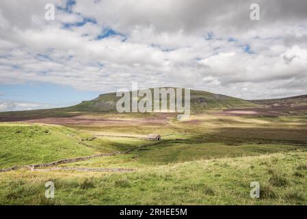 Pen-y-Ghent, one of the Yorkshire Dales 'Three Peaks', seen from the Pennine Way route between Pen-y-Ghent and Fountains Fell. Stock Photo