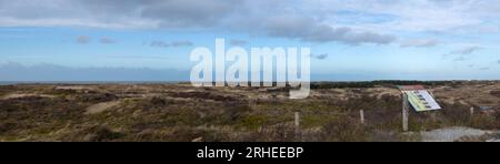 Dutch dunes Stock Photo