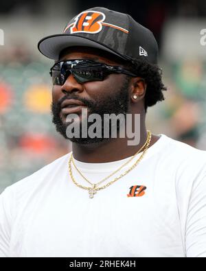 Cincinnati Bengals defensive tackle DJ Reader (98) plays during an NFL  football game against the Kansas City Chiefs, Sunday, Dec. 4, 2022, in  Cincinnati. (AP Photo/Jeff Dean Stock Photo - Alamy