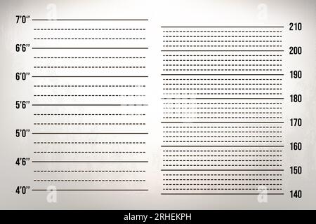 Two scales on the wall: in inches and centimeters. Ruler for height identification. Template for mugshot photo. Stock Vector