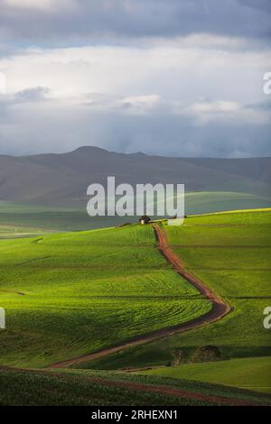 Winding road through green field pastures with mountains in background in Western Cape Overberg South Africa Stock Photo