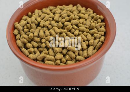 Pet food, special food for pet rodents, transmitting food care and well-being to your furry friend. Nutritious and balanced food for pet rodents, prov Stock Photo