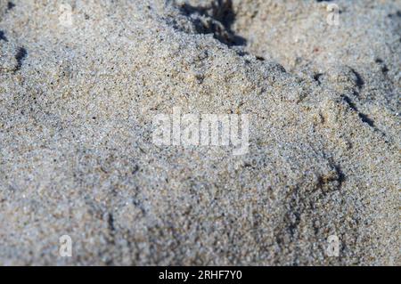 Sea sand. Sandy texture. Sandy background. Natural sea sand and river sand. Stock Photo