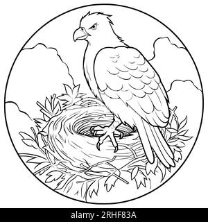 Bird Sits in a Nest Coloring Page Graphic by MyCreativeLife