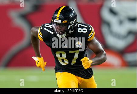 Pittsburgh Steelers tight end Rodney Williams (87) stretches before an NFL  preseason football game against the Tampa Bay Buccaneers, Friday, Aug. 11,  2023, in Tampa, Fla. (AP Photo/Peter Joneleit Stock Photo - Alamy