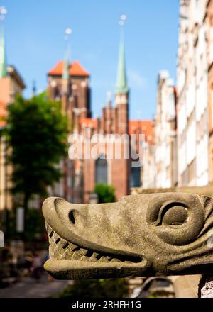 Decorative carved stone stylized dragon head gargoyle in Mariacka Street with a view to St. Mary's Church in Gdansk, Poland, Europe, EU Stock Photo