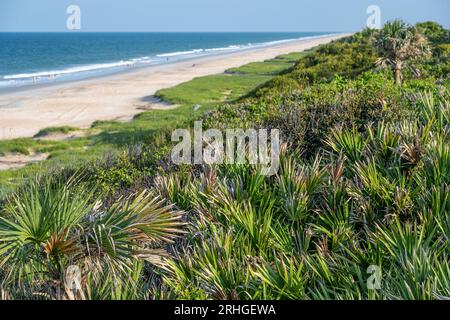 Beach dunes between the shoreline and Florida Highway A1A in Ponte Vedra Beach, Florida. (USA) Stock Photo