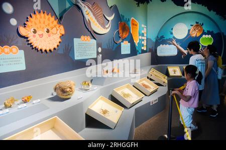 Spiny marine organisms exhibited at Zhejiang Museum of Natural History attract visitors, Hangzhou City, east China's Zhejiang Province, 15 August, 202 Stock Photo