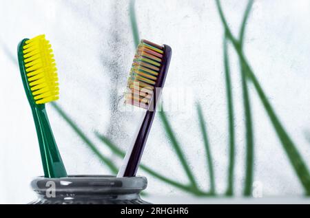 The toothbrush in a glass with copy space in bathroom. Stock Photo