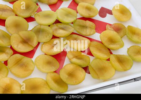 'Reine Claude d'Oullins' Greengage, Plommon (Prunus domestica) Stock Photo