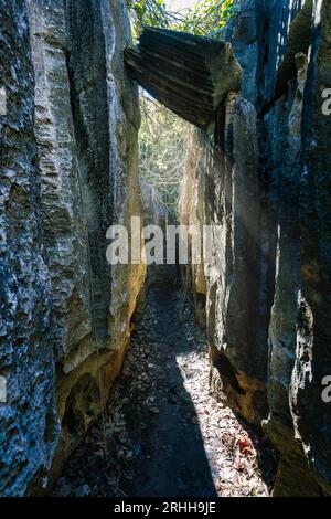 Narrow path between rocks in Petit Tsingy de Bemaraha, Strict Nature Reserve located near the western coast of Madagascar. UNESCO World Heritage.. Mad Stock Photo