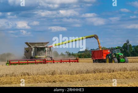 Lincolnshire, UK - A combine harvester gathering the corn on a summer’s day as it transfers to wheat to a waiting tractor and trailer for delivery to the grain store Stock Photo