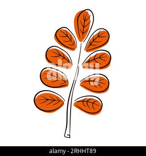 Acacia autumn leaf in line art flat style. Design for label, icon, logo. Vector illustration isolated on a white background. Stock Vector