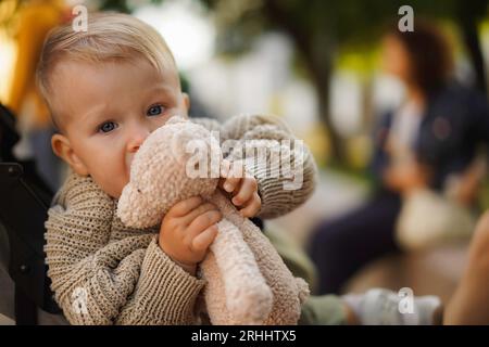 cute caucasian baby boy sitting in a buggy biting a teddy bear. High quality photo Stock Photo