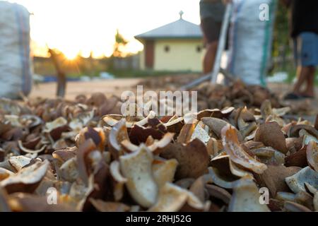 Dried copra from selected coconuts is used to extract coconut oil Stock Photo