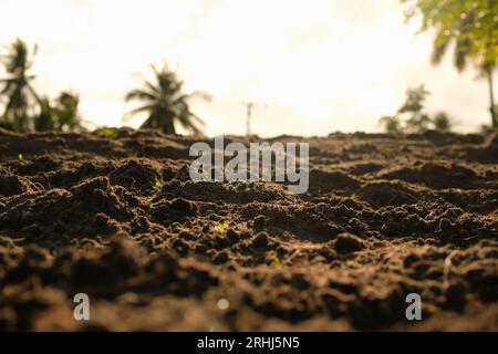 Loose soil before planting vegetables, agriculture Stock Photo