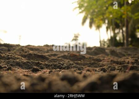 Loose soil before planting vegetables, agriculture Stock Photo