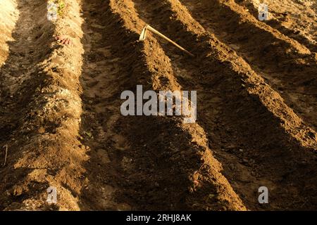 Loose soil before planting vegetables, agriculture Stock Photo