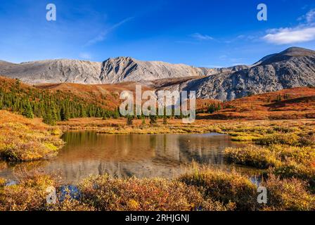 Autumn colours at Stone Mountain Provincial Park in the northern Rocky Mountains of British Columbia Stock Photo