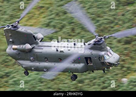 An RAF Chinook helicopter practising low flying at the Mach Loop area in Wales Stock Photo