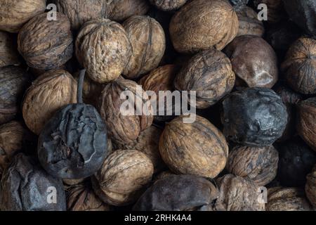 overlay shot of fresh nuts with vintage nutcracker Stock Photo