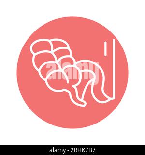 Human organ appendix color line icon. Isolated vector element. Outline pictogram for web page, mobile app, promo Stock Vector