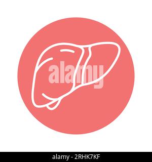 Human organ liver color line icon. Isolated vector element. Outline pictogram for web page, mobile app, promo Stock Vector