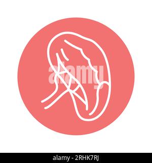 Human organ spleen color line icon. Isolated vector element. Outline pictogram for web page, mobile app, promo Stock Vector