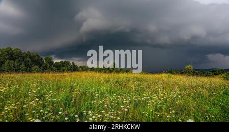 Dramatic sky with gray rainy clouds over flowering summer meadow before storm. Summer rural landscape with blossoming wild colorful flowers in rainy w Stock Photo