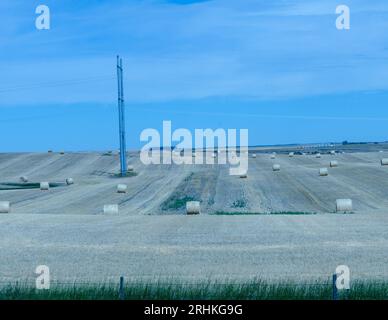 Round hay bales stretch for long distances on a farmer's field in Saskatchewan, Canada. Stock Photo