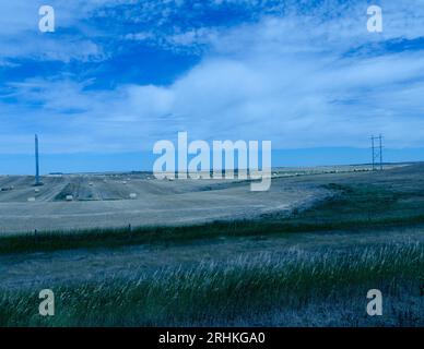 Round hay bales stretch for long distances on a farmer's field in Saskatchewan, Canada. Stock Photo