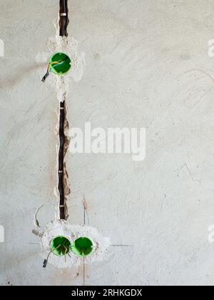Plastic backbox for sockets or switches inserted into the drilled holes on wall Stock Photo