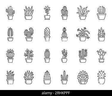 Cactus thin line icon set. Outline web sign kit of succulent. Home Plant linear icons of flower pot, mexican desert, mexico. Cacti simple black contou Stock Vector